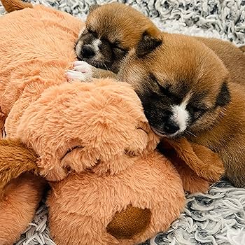 SmartPetLove スナグルパピー 心臓の鼓動付き ぬいぐるみ Amazon | SmartPetLove スナグルパピー 心臓の鼓動付き